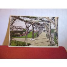 ROSE WALK, MELCOME GARDENS, WEYMOUTH, DORSET vintage postcard by Wade 1945 pm =