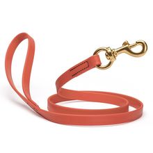 Dog Pet Leash with Brass Hardware W 5/8” L 4 FT Coral