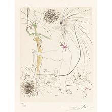 Salvador Dalí (Spanish, 1904-1989). Venus aux fourrures, 1969 Picture 13 Poster
