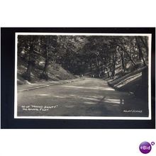 Yorkshire FILEY Ravine Postcard by Arjay (160.4.8)
