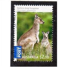 AUS 2009 $2.10 'EASTERN GREY KANGAROO' FINE USED (EBID15-111)