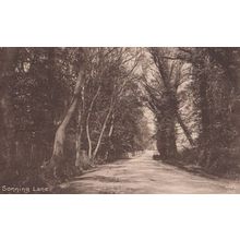 Sonning Lane Antique Postcard