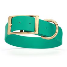 Dog Pet Collar with Brass Hardware Size L W 1.5” L 16” - 20” Teal