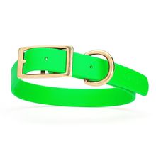 Dog Pet Collar with Brass Hardware Size XL W 1” L 22” - 25” Tropical Green