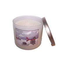 Bath & Body Works Frozen Lake 3 Wick Scented Candle 14.5 oz Lavender Eucalyptus
