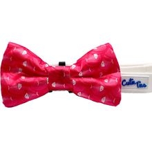 Cutie Ties Dog Bow Tie One Size Fish Bone Red