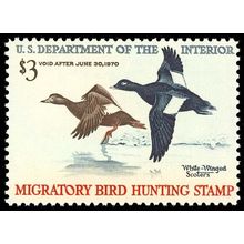 RW36, Mint VF NH $3 White Wing Scoters Duck Stamp Cat $65.00 - Stuart Katz