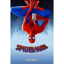Spider-Man Into The Spider-Verse 2 Poster Canvas Movie Film Print A0 A1 A2 A3 A4