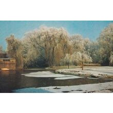 The Mill Pond Christmas Snow Newnham Frost Xmas Cambridge 1973 Postcard