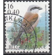 Belgique 2000 Michel 2931 O Cote (2008) 0.50 Euro Pie-grièche écorcheur