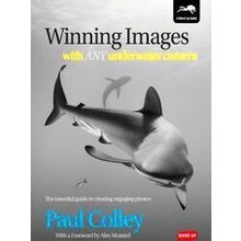 Winning Images With Any Underwater Camera