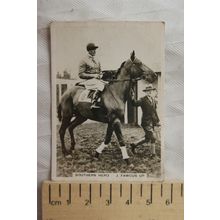 1938 Ardath Photocard - Prominent Steeplechasers - Southern Hero