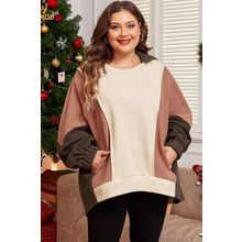 Brown Exposed Seam Colorblock Plus Size Hoodie