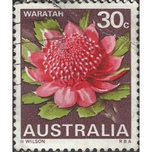 AUSTRALIA, FLOWER, Waratah, violet-brown 1968, 30c, #2