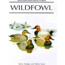 Wildfowl