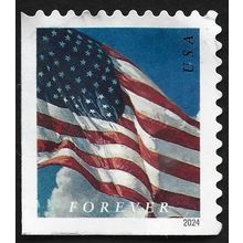 USA 2024 Flag Forever USED @A465