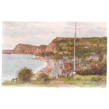 SIDMOUTH FROM the FLAGSTAFF, Devon by A R Quinton unused postcard by J. Salmon =