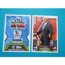 435. Mark Hughes - Stoke City - Match Attax 2013/14 Football Card EF1