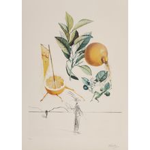Salvador Dali (1904-1989). Pamplemousse érotique, from Flor Dali Les fruits, 196
