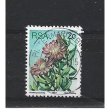 SouthAfrica.SG415 2c Protea Punctata.Fine Used.Sep25h