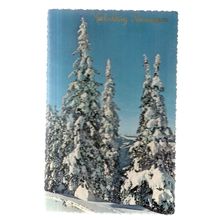 happy new year, GELUKKIG NIEUWJAAR, DUTCH vintage unused postcard =