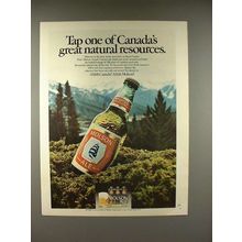 1979 Molson Ale Beer Ad - Canada Natural Resources