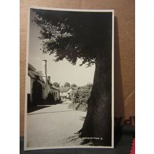 CARHAMPTON, SOMERSET unused vintage postcard RP