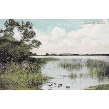 Rollesby Broad Norfolk Broads Old Postcard