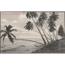 Moonlight on the Bambalapitiya Shore, Colombo, c.1905-10 - Plâté Postcard