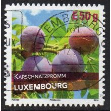Luxembourg 2018 Plum Varieties of Luxembourg - Karschnatzpromm E50g Used