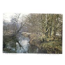 RIVER ELY, PETERSTON W.I. vintage postcard unused GLAMORGAN W.I. =