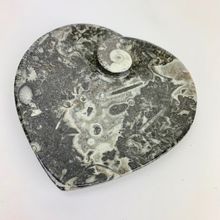 Fossil Heart Dish | 100mm | Morocco[ ]