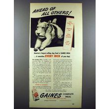 1947 Gaines Dog Food Ad - Ahead