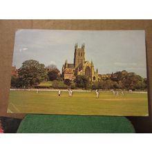 CATHEDRAL FROM THE CRICKET GROUND, WORCESTER. used postcard 1973 pm. #