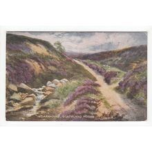 Darnholme Goathland Moors Yorkshire 1928 Art Postcard