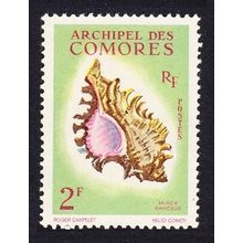 Comoro Is. Sea Shell 'Murex ramosus' 2f 1962 MNH SG#25 MI#44 Sc#50
