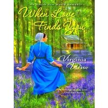 When Love Finds You Amish New World 2