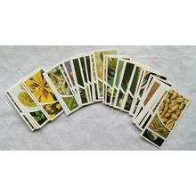 1981 complete set 40 Brooke Bond Small Wonders - loose