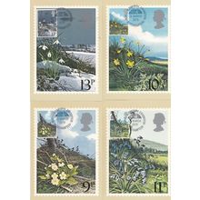 Bluebells Daffodils Primroses Snowdrops 4x PHQ Postcard s