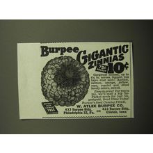 1949 W. Atlee Burpee Co. Ad - Burpee Gigantic Zinnias