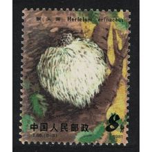 China Edible Mushroom 'Hericium erinaceus' 1981 MNH SG#3094 Sc#1705