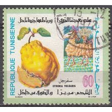Tunisie 1971 Michel 765 O Cote (2005) 0.40 Euro Le cognassier Cachet rond