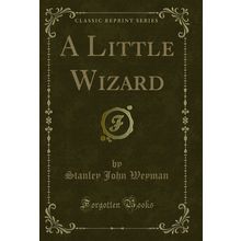 A Little Wizard (Classic Reprint)