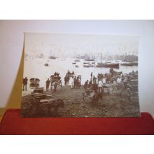 DONKEY CARTS, NEWLYN, c.1900 CORNWALL. postcard. Truro Museum =