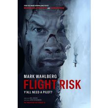 Flight Risk (2024)_0 Movie Film Poster Canvas iconic design