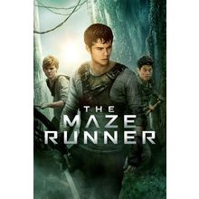 The Maze Runner 1 Poster Canvas Movie Film Print A0 A1 A2 A3 A4 A5 A6 Art Wall