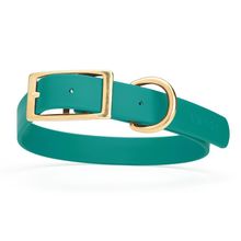 Dog Pet Collar with Brass Hardware Size L W 1” L 18” - 22” Blue Aqua