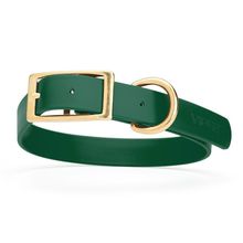 Dog Pet Collar with Brass Hardware Size L W 1” L 18” - 22” Hunter Green