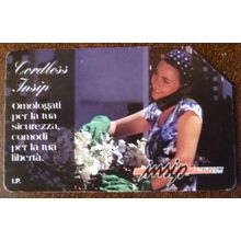 1996 Telecom Italia Cordless Insip illustrated used 10000 lire Phone Card