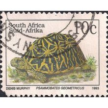 SOUTH AFRICA, REPTILE, Geometric Tortoise, white 1993, 10c, #2